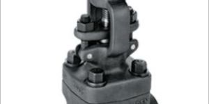 Globe Valve, Check Valve