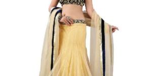Designer Lehenga Choli