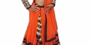 Embroidered Lehenga Choli