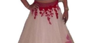Net Lehenga Choli