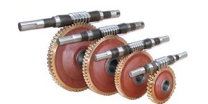 Worm Gears
