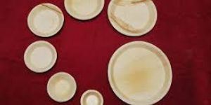Arecanut Leaf Plates