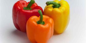 Bell Pepper