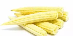 Fresh Baby Corn