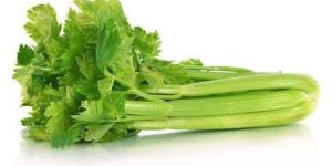 Fresh Celery Leaves