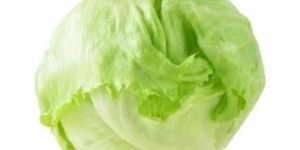 Iceberg Lettuce