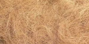 Coir Fiber