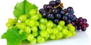 Fresh Green & Black Grapes