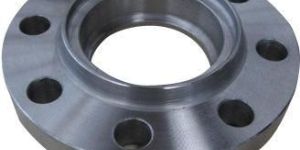 Slip On Flanges