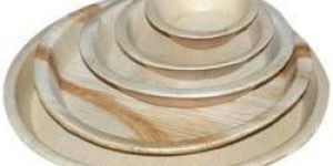 Areca Leaf Plates