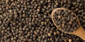 Black Pepper Seeds