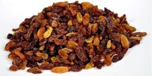 C Malayar Raisins