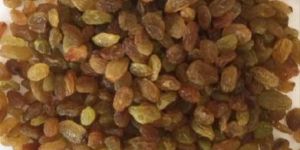 AA Malayer Raisins