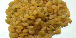 Nashik Brown Round Raisins