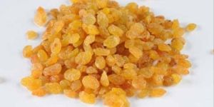 Round Yellow Raisins
