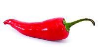Red Peppers