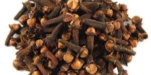 Cloves Seeds
