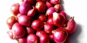 Fresh Red Onion