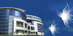 Commercial Building Construction