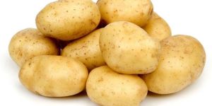 Fresh Potato