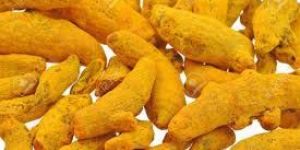 Turmeric Finger