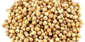 Coriander Seeds