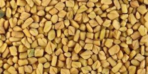 Fenugreek Seeds