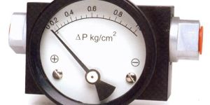 Piston Type DP Gauge DPG 200