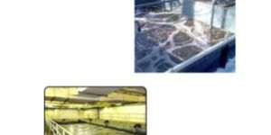 Water Pollution Control Sewage Treatment Plant