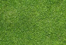 Artificial Grass