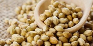 Coriander Seeds