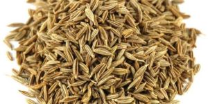 Cumin Seeds