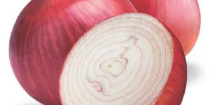 Fresh Red Onion