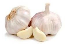 Fresh Garlic