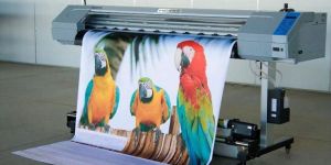 Flex Printing Services