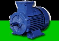 NEW INDUCTION MOTOR