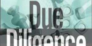 Due Diligence Services