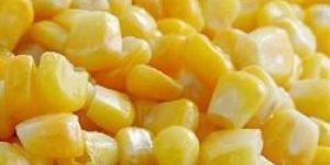 IQF Sweet Corn