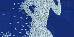 Printed Packaging Box