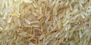 1121 Basmati Rice