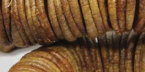 Dried Fig