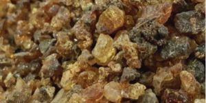 Gum Arabic