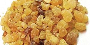 Gum Olibanum