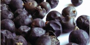 Dried Juniper Berries
