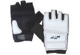 Taekwondo Gloves