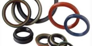 Oil Seals