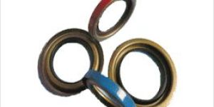 Oil Seals
