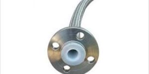 PTFE Hose With S.S. Braiding