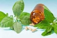 Herbal Diabetic Medicine
