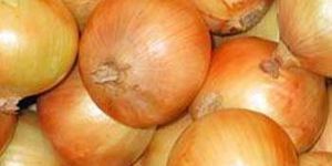Onion